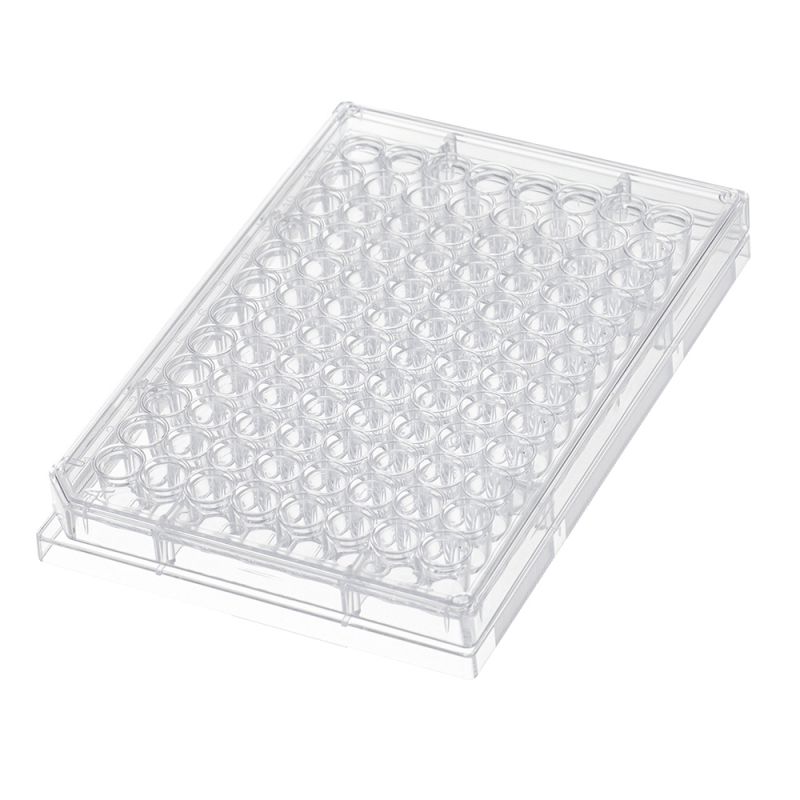 cell culture plate clear